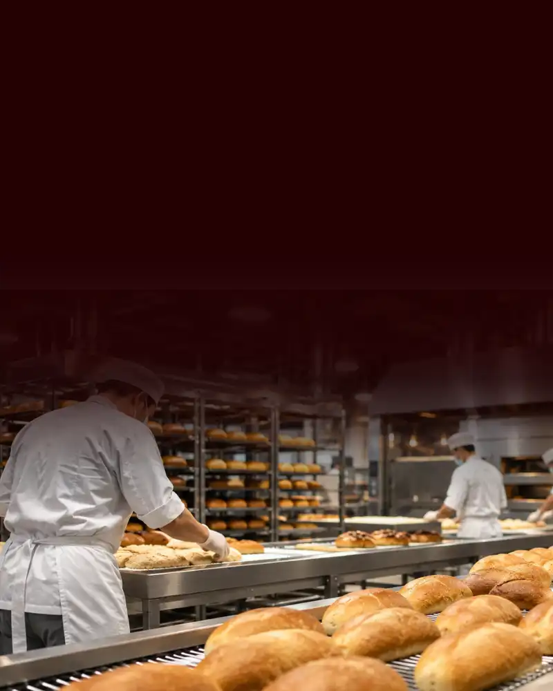 Banner mobile produsen roti Chassimo